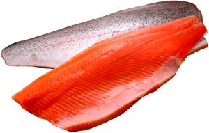 Quantas calorias em 1/2 Filé Salmão-Rosado?