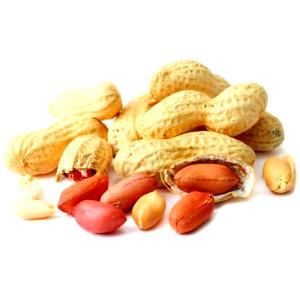 Quantas calorias em 1 Amendoim Amendoim com Casca (Casca Não Consumida)?