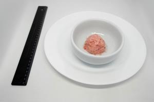 Quantas calorias em 1 bola (60 g) Sorvete de Morango?