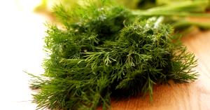 Quantas calorias em 1 Colher De Chá, Picado (3,0 G) Erva de endro, fresca?