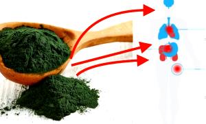 Quantas calorias em 1 colher de sopa (2,2 g) Spirulina?