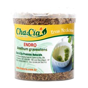 Quantas calorias em 1 Colher De Sopa (3,1 G) Erva de endro, seca?