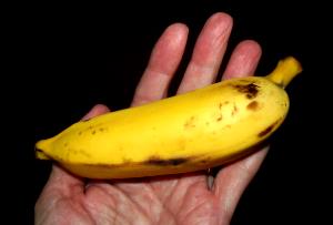 Quantas calorias em 1 Fatia Banana Prata?