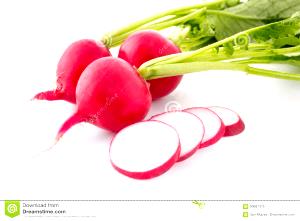 Quantas calorias em 1 Fatia Rabanetes?