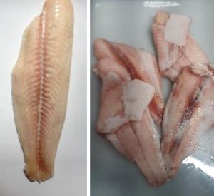 Quantas calorias em 1 Filé (112,0 G) Cavalinha, crua?
