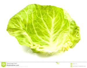 Quantas calorias em 1 Folha Pequena Repolho Verde?