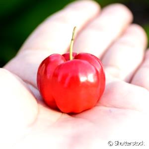 Quantas calorias em 1 Fruta Acerola?
