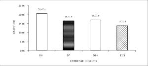 Quantas calorias em 1 Grande (2,5 Cm - 3 Cm De Diâmetro) Rabanetes?