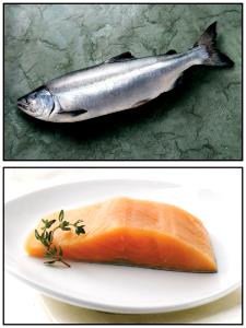 Quantas calorias em 1 Lb Salmão-Rosado?