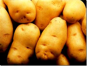 Quantas calorias em 1 Média (5,5 Cm De Diâmetro - 7,5 Cm De Diâmetro, Cru) Batata Inglesa?