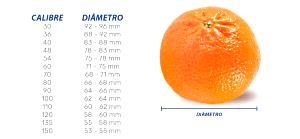 Quantas calorias em 1 Média (6 Cm De Diâmetro) Mexerica?