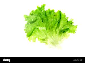 Quantas calorias em 1 Oz Alface de Folha Verde?