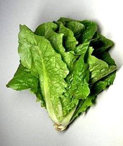 Quantas calorias em 1 Oz Alface Romana?