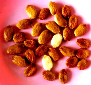 Quantas calorias em 1 Oz Chuchu (Fruta, com Sal, Escorrido, Fervido, Cozido)?