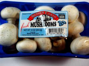 Quantas calorias em 1 Oz Cogumelos Cozidos?