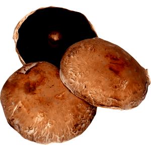 Quantas calorias em 1 Oz Cogumelos Portobello?