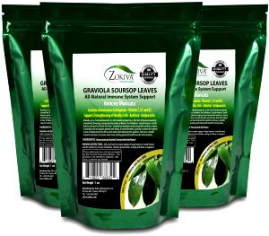 Quantas calorias em 1 Oz Graviola?