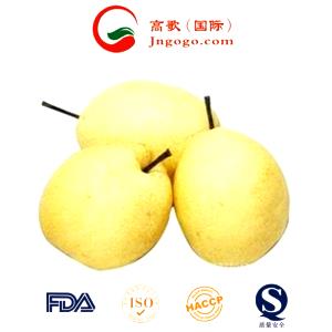 Quantas calorias em 1 Oz Peras Asiáticas?