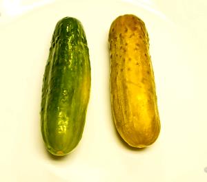 Quantas calorias em 1 Oz Picles de Pepino com Endro (Baixo Teor de Sódio)?