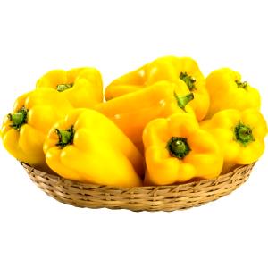 Quantas calorias em 1 Oz Pimentão Amarelo?
