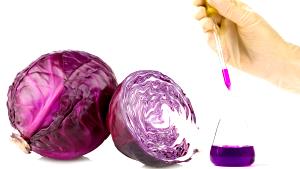 Quantas calorias em 1 Oz Repolho-Roxo?