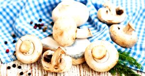 Quantas calorias em 1 Pedaço (3,6 G) Cogumelo shiitake, seco?