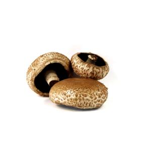 Quantas calorias em 1 Pedaço (84,0 G) Cogumelo portobello, cru?