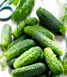 Quantas calorias em 1 Pepino De Conserva Anão (5,5 Cm De Comprimento) Picles de Pepino Doce?