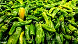 Quantas calorias em 1 Pimenta Pimentas Chili Verdes?