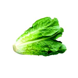 Quantas calorias em 1 porção (135 g) Alface Romana?