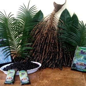 Quantas calorias em 1 porção (30 g) Polpa de Açaí?