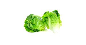 Quantas calorias em 1 Porção Alface Romana?
