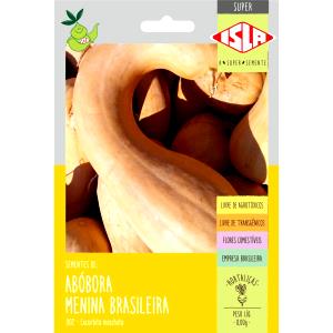 Quantas calorias em 1 Porção Abóbora menina brasileira sem casca crua?