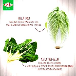 Quantas calorias em 1 Porção Acelga cozida drenada sem sal?