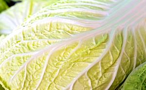 Quantas calorias em 1 Porção Acelga crua?