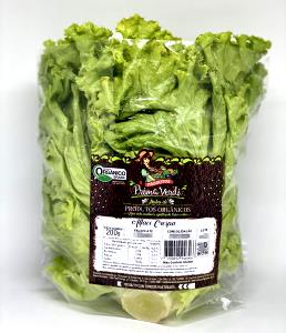 Quantas calorias em 1 Porção Alface orgânica?