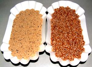 Quantas calorias em 1 Porção Amaranto grão cru?