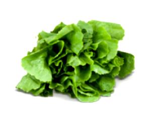 Quantas calorias em 1 Porção Chicória crua?