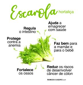 Quantas calorias em 1 Porção Escarola folha crua?
