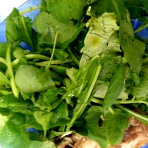 Quantas calorias em 1 Porçoes Saladão Verde?