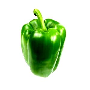 Quantas calorias em 1 Porção (73,0 G) Pimentão verde, cozido?