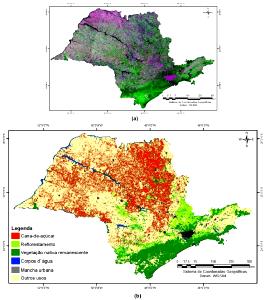 Quantas calorias em 1 Produto De 28 G Lima?