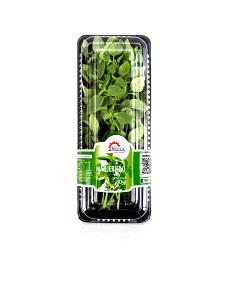 Quantas calorias em 1 Punhado (7,0 G) Manjericão, fresco?
