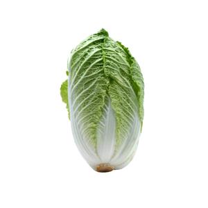 Quantas calorias em 1 Xícara Acelga?