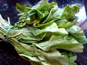 Quantas calorias em 1 Xícara, Cortado Almeirão?