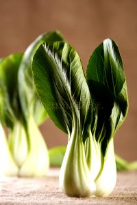 Quantas calorias em 1 Xícara, Pak-Choi Repolho Chinês?