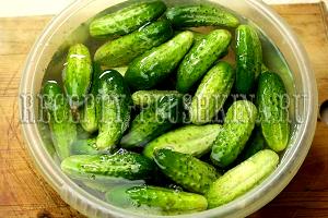 Quantas calorias em 1 Xícara Picles de Pepino Azedo?