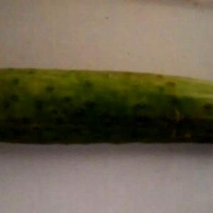 Quantas calorias em 1 Xícara (104,0 G) Pepino?