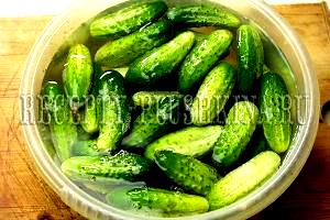 Quantas calorias em 1 Xícara (155,0 G) Pepinos azedos?