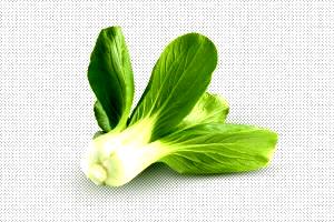 Quantas calorias em 1 Xícara (170,0 G) Repolho chinês pak-choi, cozido?